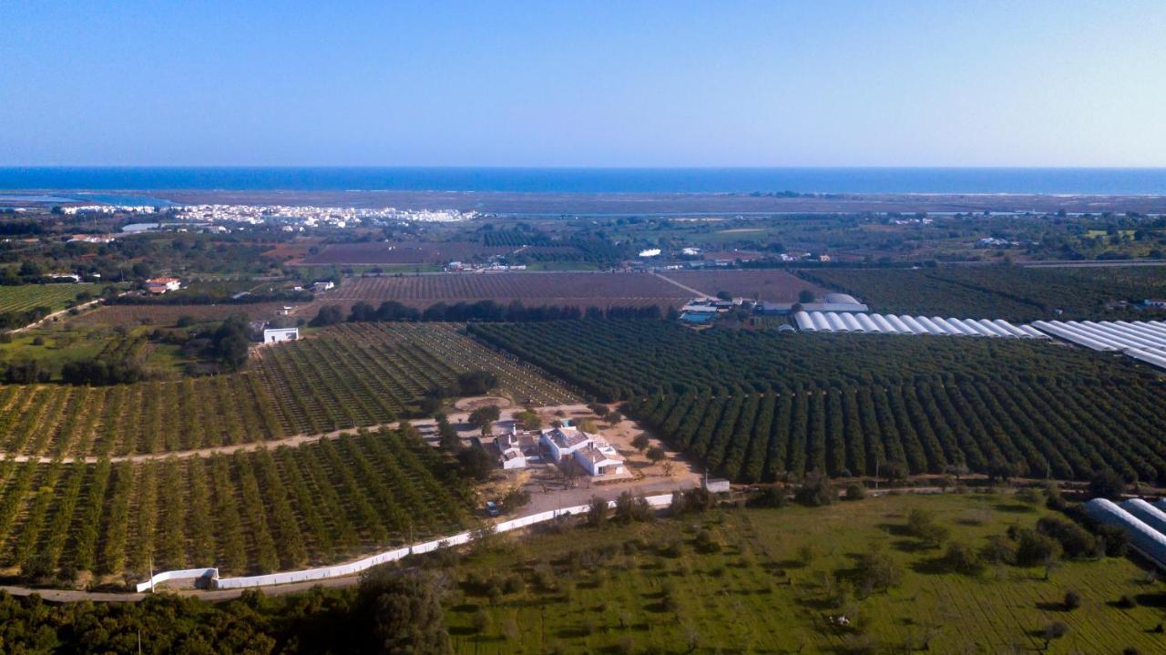 فيلا Quinta Da Pintassilga تافيرا المظهر الخارجي الصورة